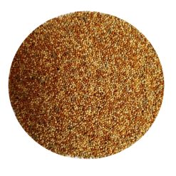 a pile of seeds in a circle