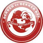 Bekker és bekker