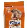 Dog chow mature senior 14kg